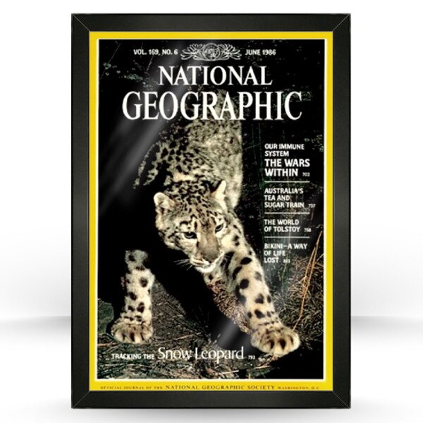 National Geographic Frame Kit